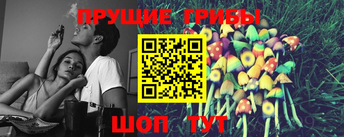 Среднеуральск  Псилоцибиновые грибы MAGIC MUSHROOMS  Вход с VPN  Псилоцибиновые грибы GOLDEN TEACHER 